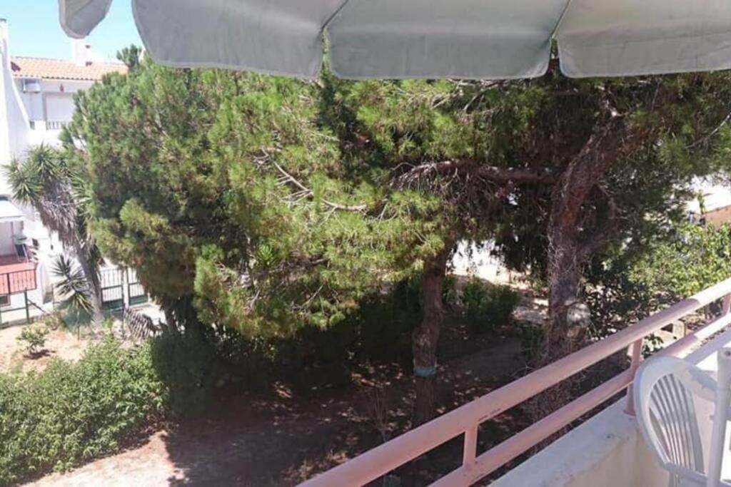 Falesia - Near The Beach - The Gavel Apartment Албуфейра Екстериор снимка